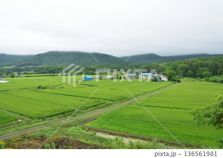 JR北海道函館本線　昆布駅から熱郛駅までの普通列車車窓風景(2023年夏雨) 136561981