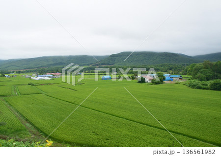 JR北海道函館本線　昆布駅から熱郛駅までの普通列車車窓風景(2023年夏雨) 136561982