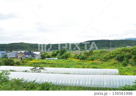JR北海道函館本線 昆布駅から熱郛駅までの普通列車車窓風景(2023年夏雨) JR北海道函館本線 昆布駅から熱郛駅までの普通列車車窓風景(2023年夏雨) 136561986