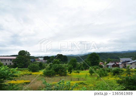 JR北海道函館本線　昆布駅から熱郛駅までの普通列車車窓風景(2023年夏雨) 136561989