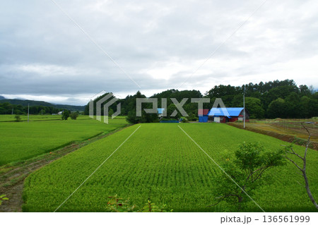 JR北海道函館本線　昆布駅から熱郛駅までの普通列車車窓風景(2023年夏雨) 136561999