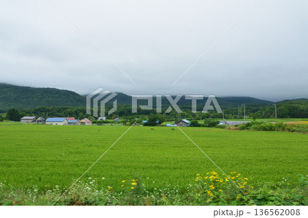 JR北海道函館本線　昆布駅から熱郛駅までの普通列車車窓風景(2023年夏雨) 136562008