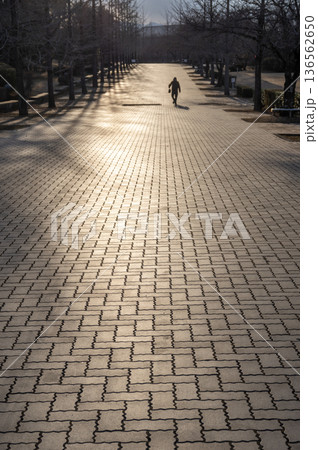 夕日に照らされる冬の秩父ミューズパーク 136562650