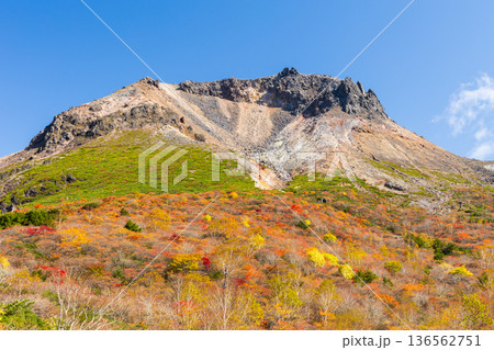秋の栃木県那須町 日本百名山 紅葉の那須岳(茶臼岳) 姥ヶ平 秋の栃木県那須町 日本百名山 紅葉の那須岳(茶臼岳) 姥ヶ平 136562751