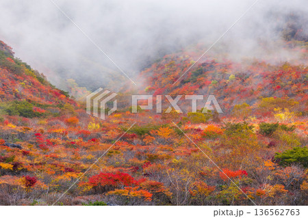 秋の栃木県那須町 日本百名山 紅葉の那須岳(茶臼岳) 秋の栃木県那須町 日本百名山 紅葉の那須岳(茶臼岳) 136562763