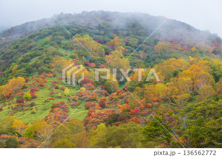 秋の栃木県那須町 日本百名山 紅葉の那須岳(茶臼岳) 秋の栃木県那須町 日本百名山 紅葉の那須岳(茶臼岳) 136562772