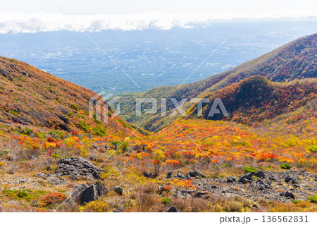 秋の栃木県那須町 日本百名山 紅葉の那須岳(茶臼岳) 秋の栃木県那須町 日本百名山 紅葉の那須岳(茶臼岳) 136562831