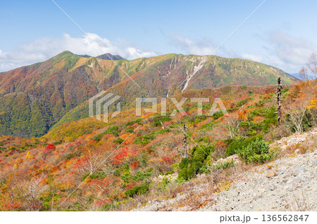 秋の栃木県那須町 日本百名山 紅葉の那須岳(茶臼岳) 秋の栃木県那須町 日本百名山 紅葉の那須岳(茶臼岳) 136562847