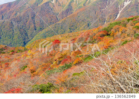 秋の栃木県那須町　日本百名山　紅葉の那須岳（茶臼岳）　姥ヶ平 136562849