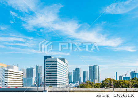 東京港区 汐留周辺の都市風景 136563116