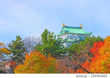 愛知県名古屋市、秋の名古屋城の風景 136563805