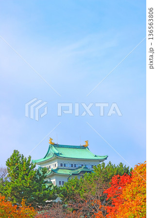愛知県名古屋市、秋の名古屋城の風景 136563806