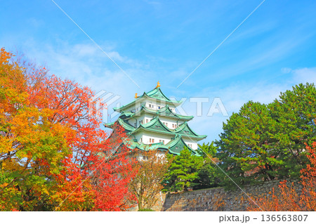 愛知県名古屋市、秋の名古屋城の風景 136563807