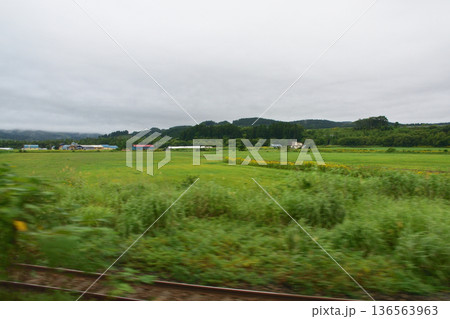 JR北海道函館本線　山崎駅から山越駅までの普通列車車窓風景(2023年夏雨) 136563963