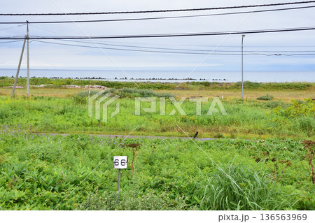 JR北海道函館本線　山崎駅から山越駅までの普通列車車窓風景(2023年夏雨) 136563969