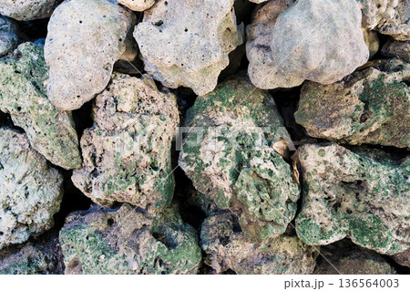 沖縄北部の伝統的な石垣風景 観光PRや企業プレゼン・スライドショーに使える歴史を感じる背景素材 沖縄北部の伝統的な石垣風景 観光PRや企業プレゼン・スライドショーに使える歴史を感じる背景素材 136564003