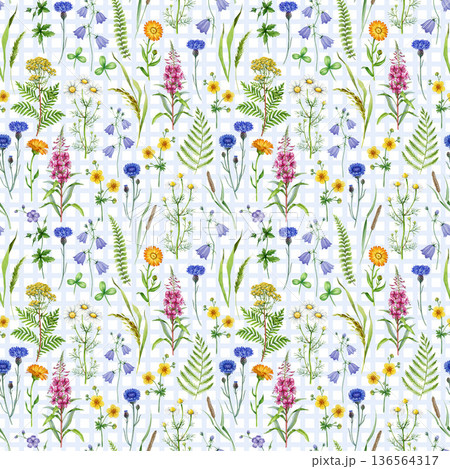 Meadow wildflowers seamless pattern element vintage style watercolor illustration. Hand drawn chamomile, cornflower, bluebell, fireweed, fern blooming summer flowers decor on checkered background 136564317