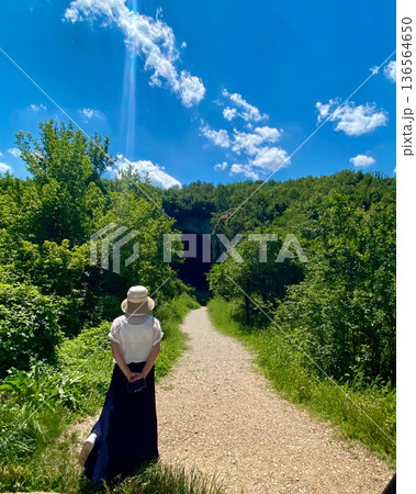 初夏の青空の下、緑の小道を歩く女性の後ろ姿 初夏の青空の下、緑の小道を歩く女性の後ろ姿 136564650