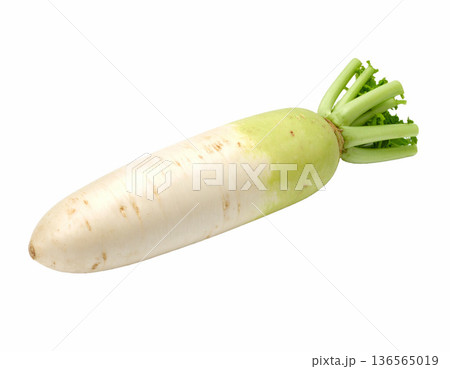 新鮮な大根 新鮮な大根 136565019