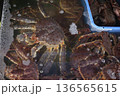 A group of live king crabs submerged in a water tank at a seafood market. The crabs have long legs, spiny shells, and reddish-brown coloring, commonly seen in premium fresh seafood displays 136565615