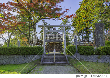 鶴岡公園　鶴ヶ岡城址　鶴岡護国神社　鳥居　山形県鶴岡市 136565664