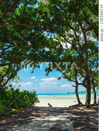 石垣島の木陰から眺める白砂ビーチとエメラルドグリーンの海 136566214