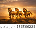 Energetic horses racing forward in a warm sunset scene with strong backlight and cinematic atmosphere 136566223