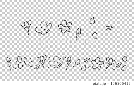 櫻花的簡單手繪線條插圖 136566415