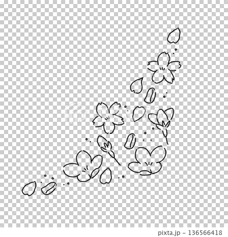 Hand-drawn line drawing of cherry blossoms for corners 136566418