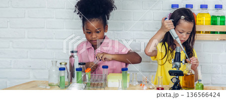 Girl is study in the Classroom. Girl is study in the Classroom. 136566424