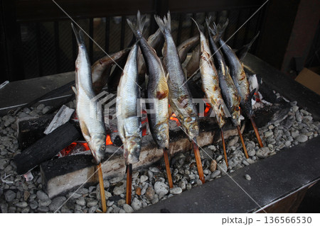 Whole fish skewered on wooden sticks and grilled over hot charcoal, showcasing traditional outdoor cooking. The fish are arranged upright around glowing embers, creating an authentic street food 136566530