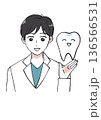 歯科男性白衣 136566531
