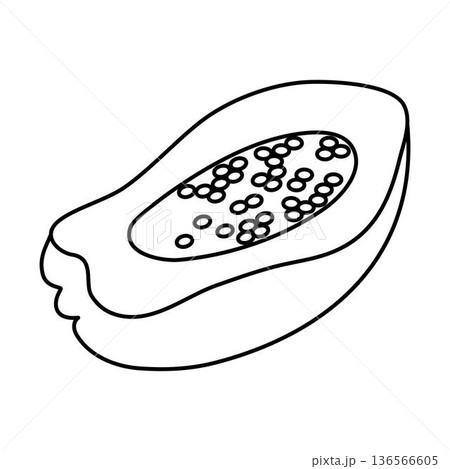 Papaya Fruit Coloring illustration 136566605