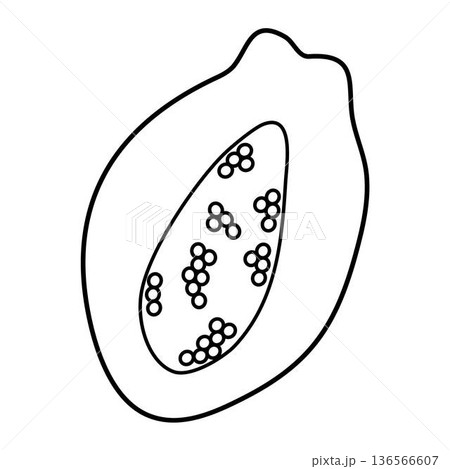 Papaya Tracing Line and Coloring 136566607