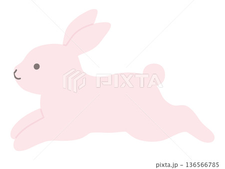 かわいいうさぎのベクターイラスト。兔、動物 136566785