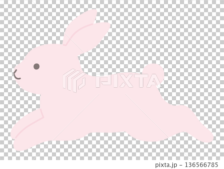かわいいうさぎのベクターイラスト。兔、動物 136566785