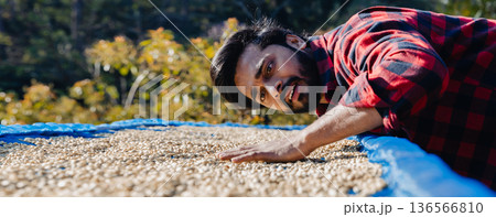 Male worker inspect and tossing dried coffee beans with hands at farm outdoors Male worker inspect and tossing dried coffee beans with hands at farm outdoors 136566810