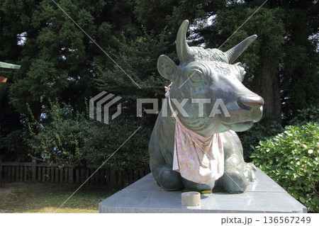 四国別格霊場第7番札所「出石寺」 136567249