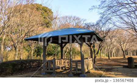 横浜市戸塚区の舞岡ふるさと公園の冬 横浜市戸塚区の舞岡ふるさと公園の冬 136567408