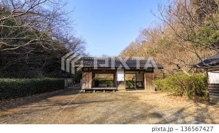 横浜市戸塚区の舞岡ふるさと公園の冬 136567427