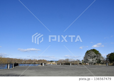 羽生水郷公園のカワセミ展望台_02 羽生水郷公園のカワセミ展望台_02 136567479