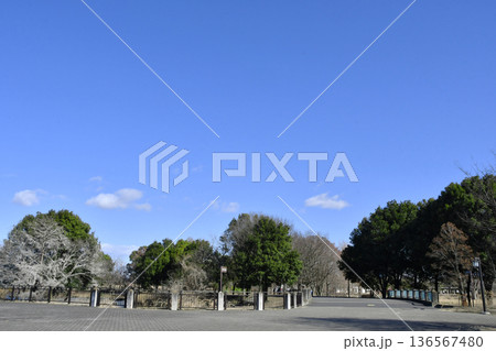 羽生水郷公園のカワセミ展望台_03 136567480
