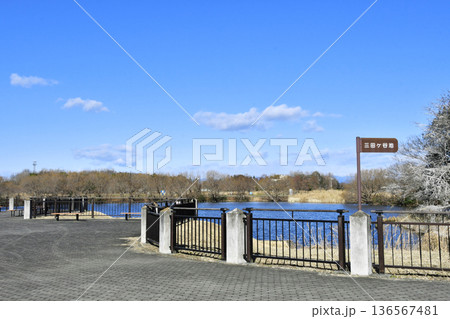 羽生水郷公園のカワセミ展望台_04 羽生水郷公園のカワセミ展望台_04 136567481