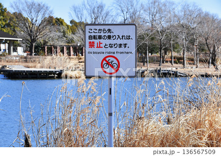 羽生水郷公園の水鳥の池_07 羽生水郷公園の水鳥の池_07 136567509