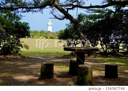 安乗埼(あのりざき)灯台がある安乗岬園地付近の風景 松の木越しに芝生と灯台 三重県志摩市阿児町 安乗埼(あのりざき)灯台がある安乗岬園地付近の風景 松の木越しに芝生と灯台 三重県志摩市阿児町 136567748