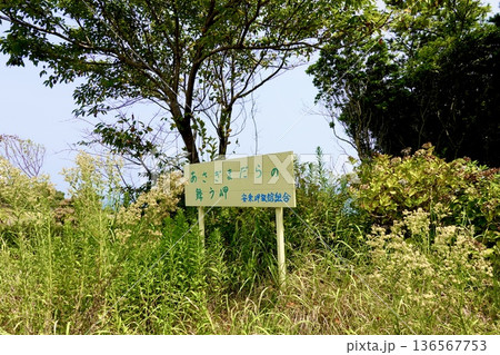 安乗埼(あのりざき)灯台がある安乗岬園地付近の風景 あさぎまだらの舞う岬の看板 三重県志摩市阿児町 安乗埼(あのりざき)灯台がある安乗岬園地付近の風景 あさぎまだらの舞う岬の看板 三重県志摩市阿児町 136567753
