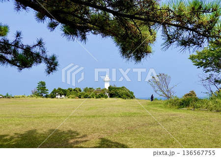 安乗埼(あのりざき)灯台がある安乗岬園地付近の風景　松の枝越しの芝生と灯台　三重県志摩市阿児町 136567755