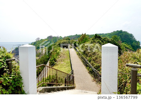 安乗埼(あのりざき)灯台がある安乗岬園地付近の風景 灯台から園地側を臨む 三重県志摩市阿児町 安乗埼(あのりざき)灯台がある安乗岬園地付近の風景 灯台から園地側を臨む 三重県志摩市阿児町 136567799