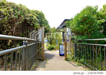 安乗埼(あのりざき)灯台がある安乗岬園地付近の風景　安乗埼灯台券売所出口　三重県志摩市阿児町 136567800