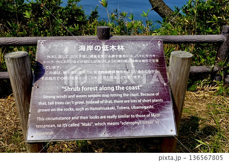 安乗埼(あのりざき)灯台がある安乗岬園地付近の風景　海岸の低木林の看板　三重県志摩市阿児町 136567805